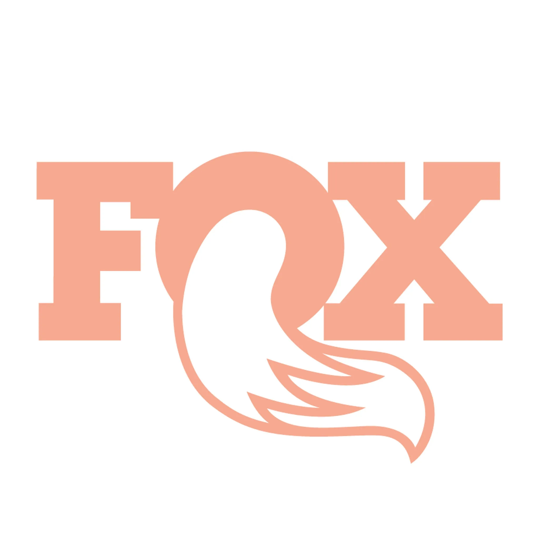 2025 Fox 36 Factory shiny black