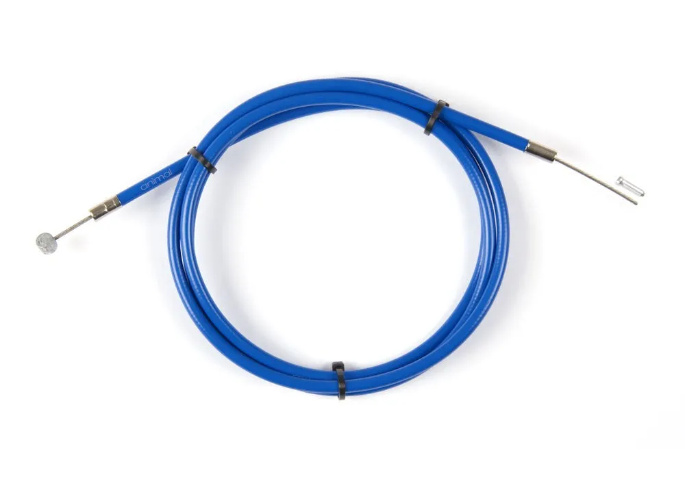 Animal - Illegal linear cable