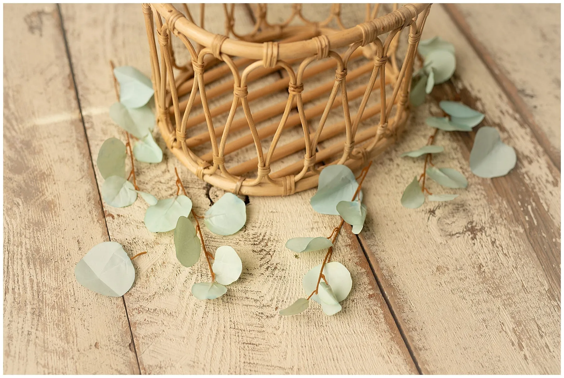 Aspen Leaves