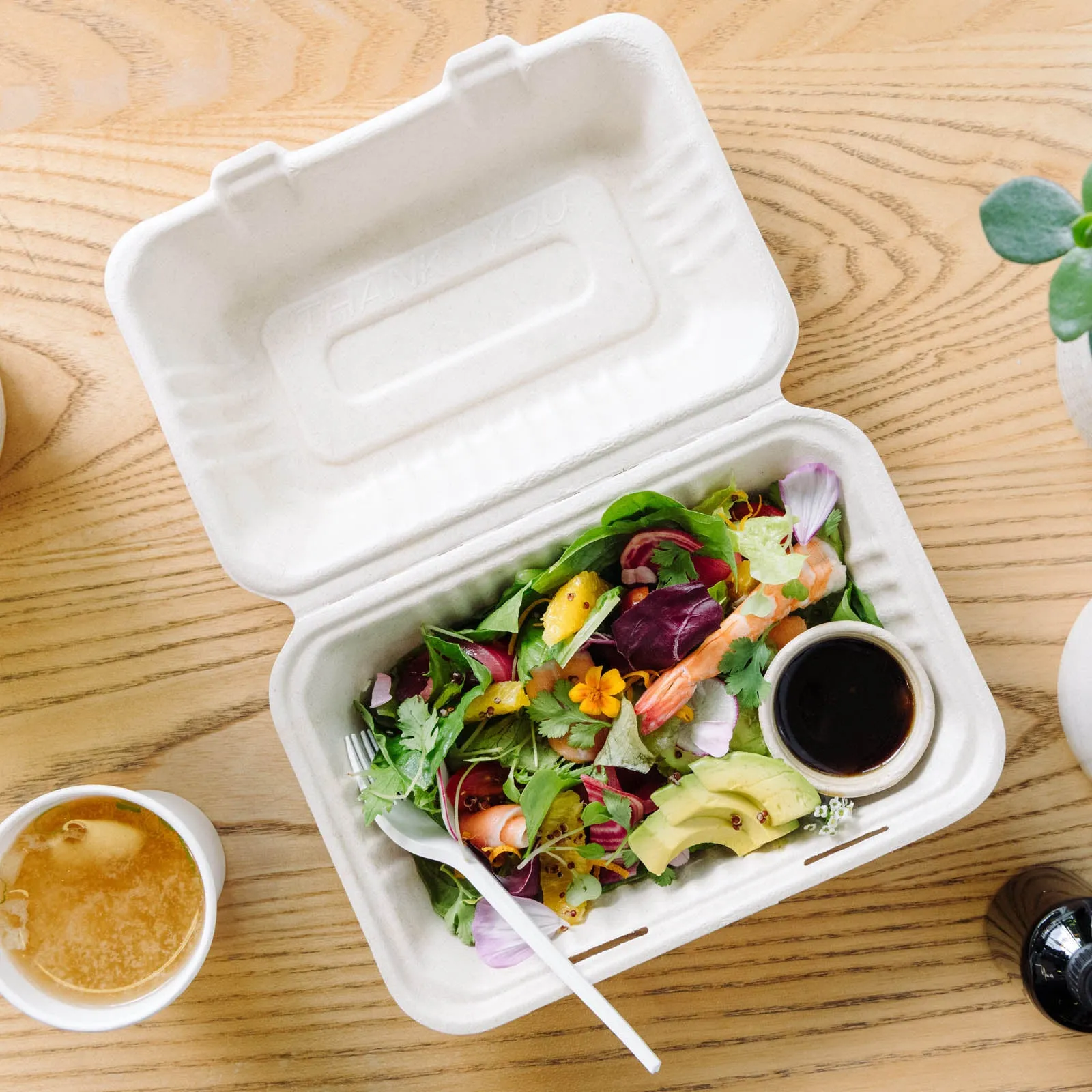 Bagasse - Clam