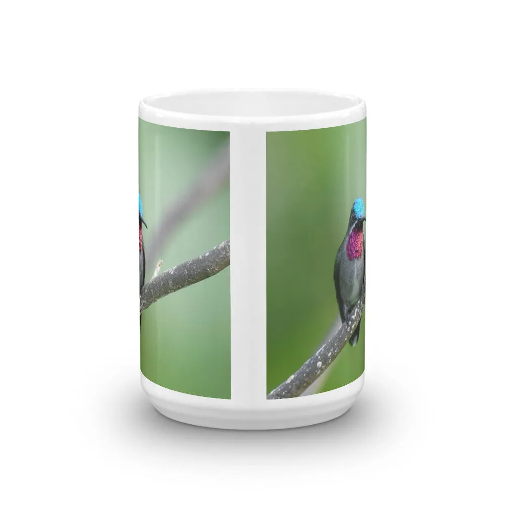 Beautiful Hummingbird Mug