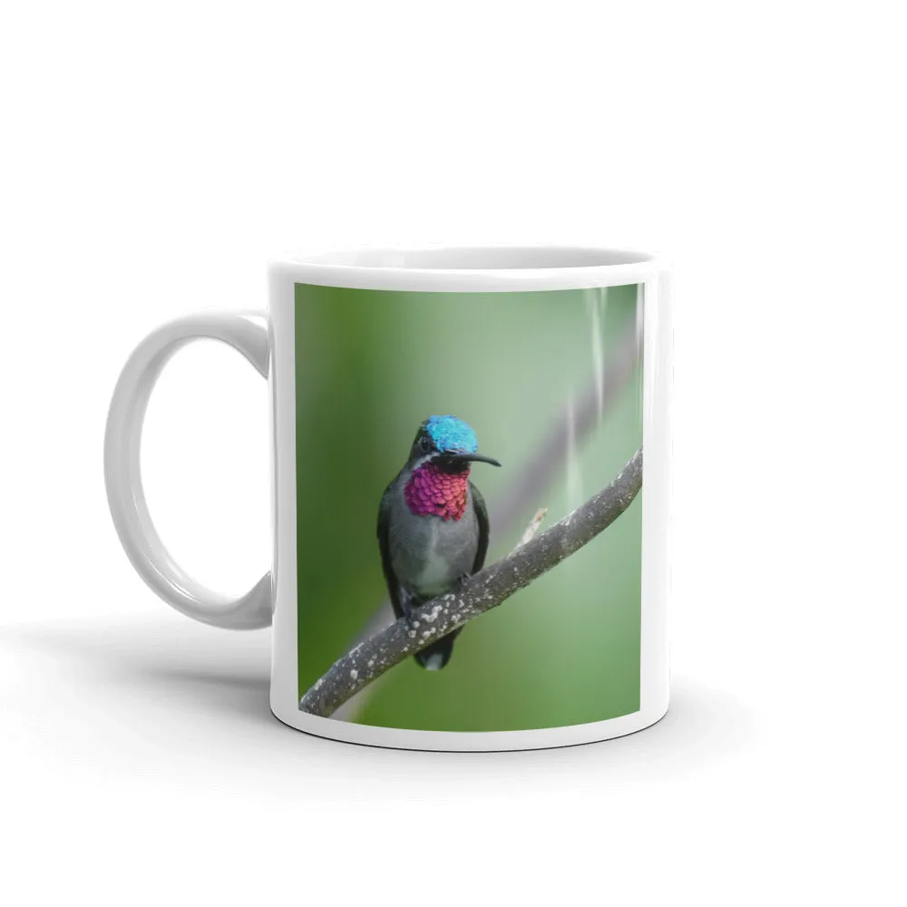 Beautiful Hummingbird Mug