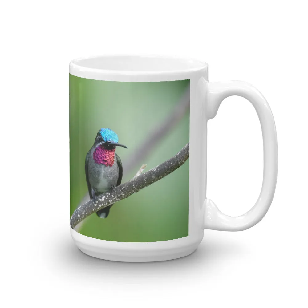 Beautiful Hummingbird Mug