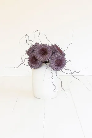 Botanica #2770 (Pack of 6)