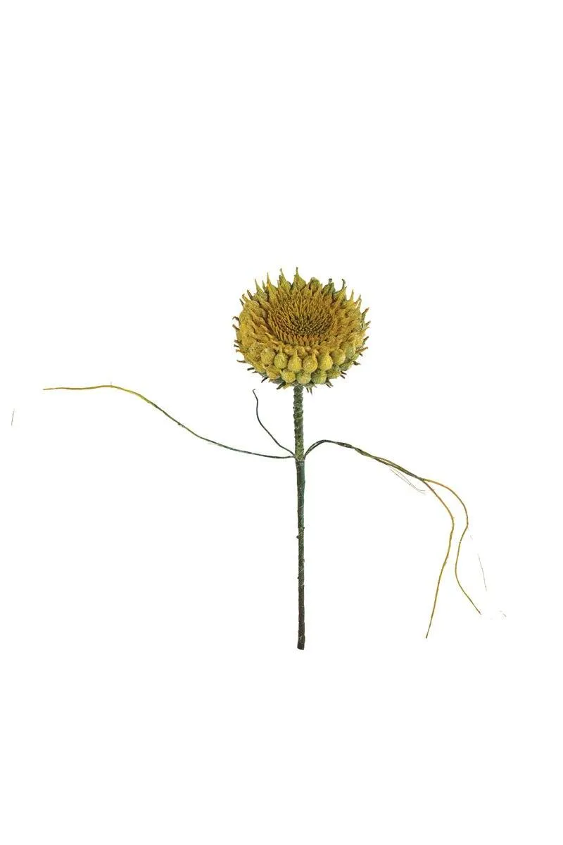 Botanica #2771 (Pack of 6)