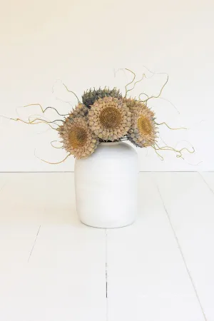 Botanica #2771 (Pack of 6)