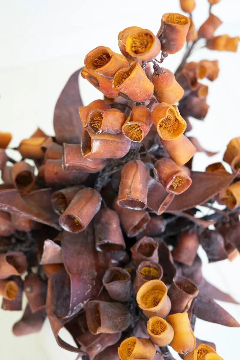 Botanica #2775 (Pack of 6)