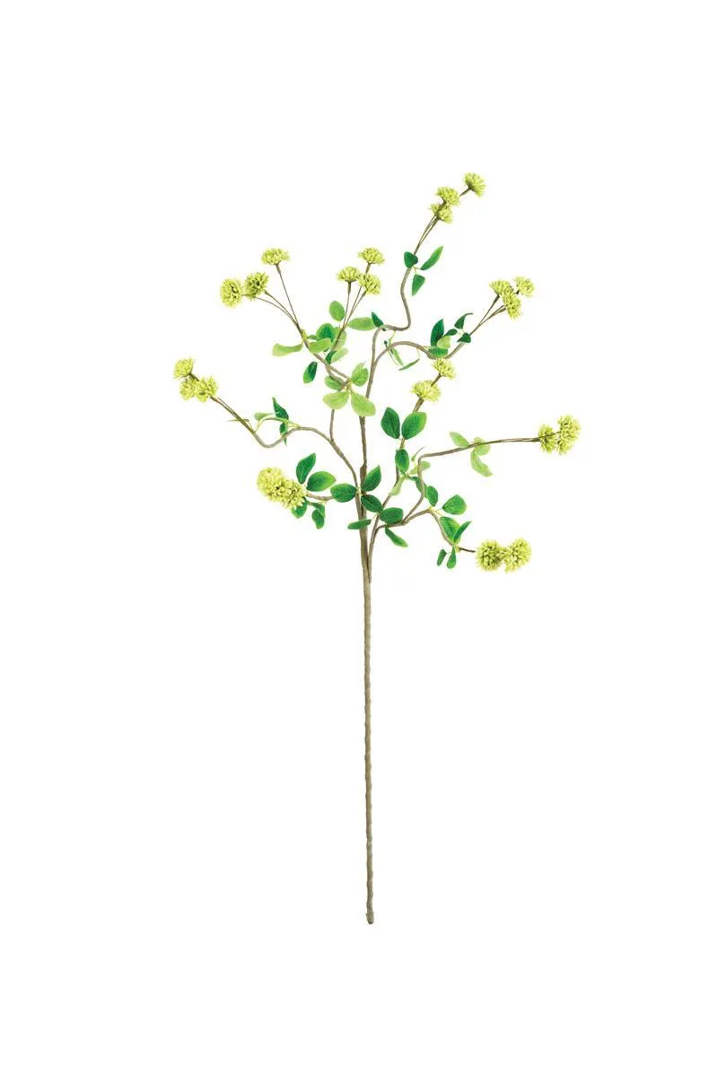 Botanica #3474 (Pack of 6)