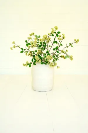 Botanica #3474 (Pack of 6)