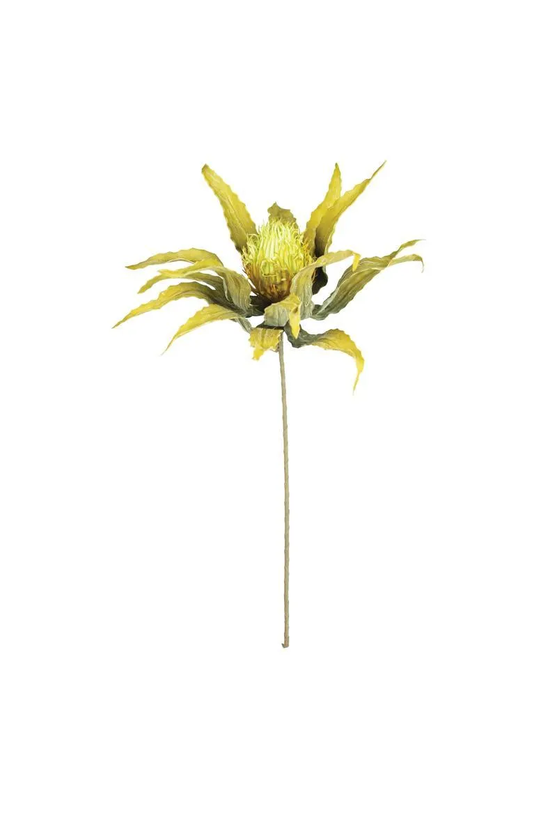 Botanica #3484 (Pack of 6)