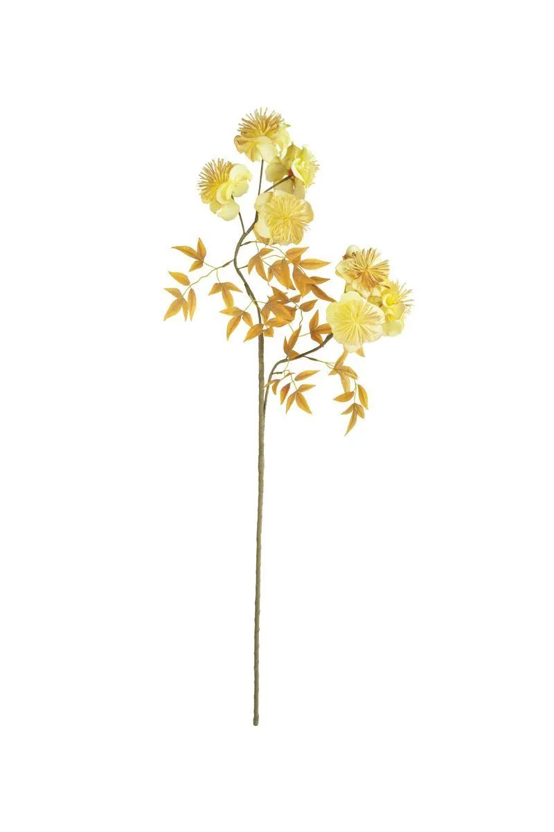Botanica #3488 (Pack of 6)