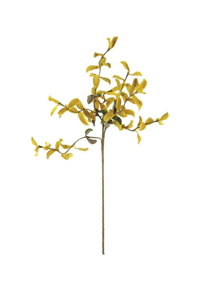 Botanica #3538 (Pack of 6)