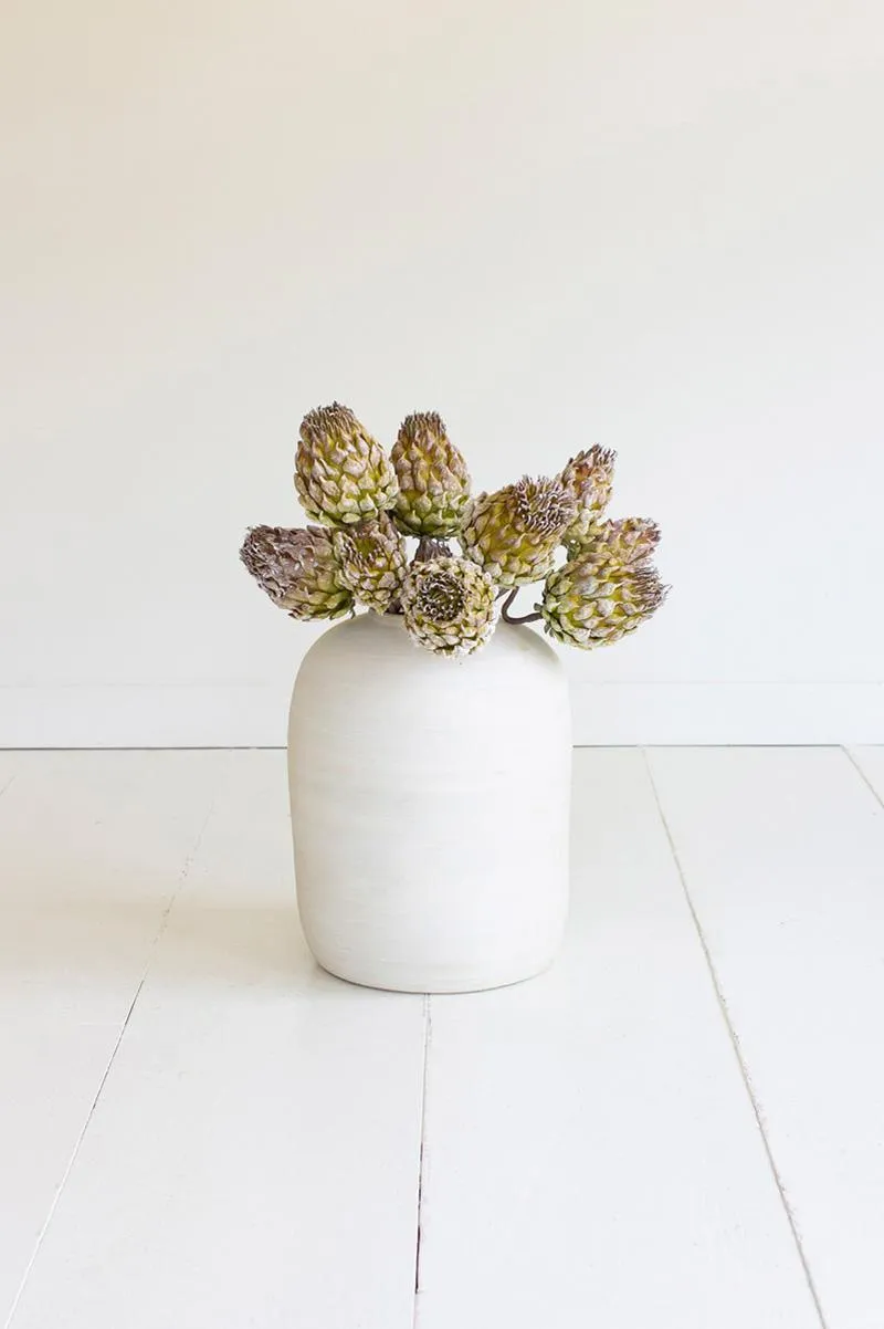 Botanica #3559 (Pack of 6)
