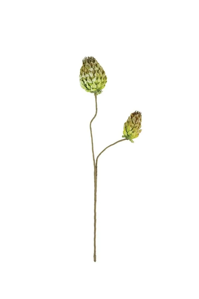 Botanica #3559 (Pack of 6)