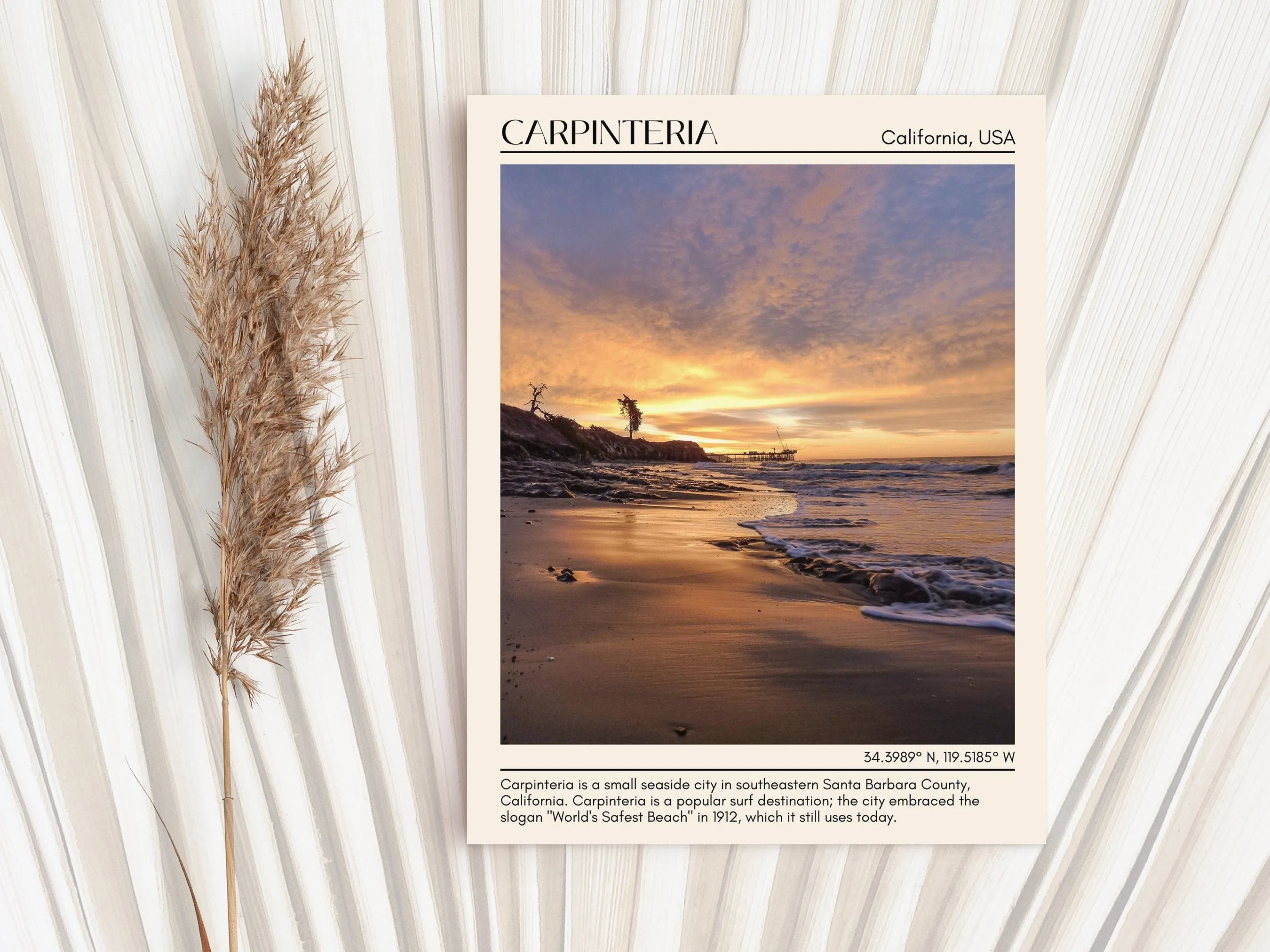 Carpinteria Wall Art Canva, USA