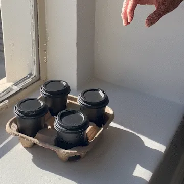 Carrier - Tray