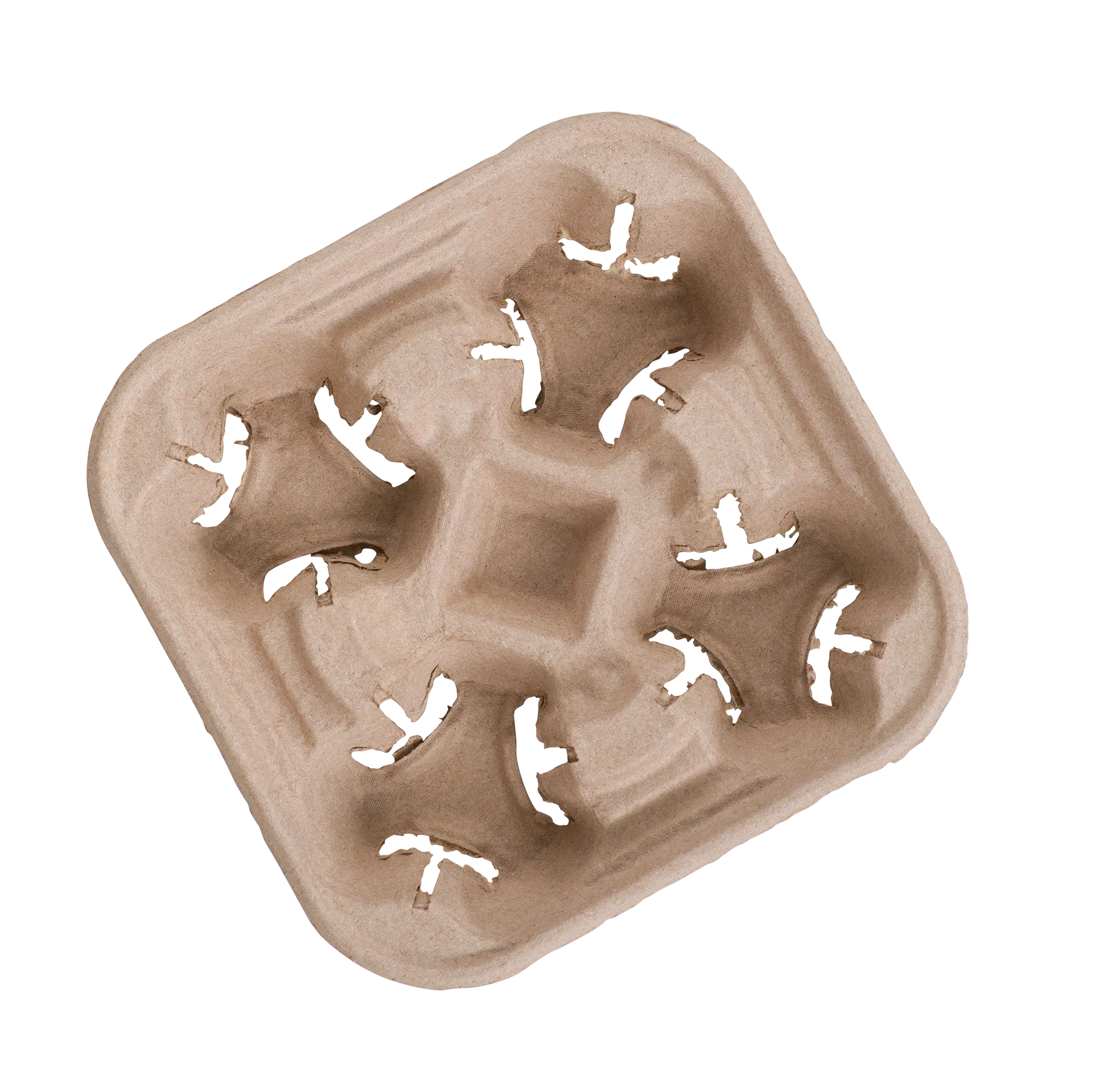 Carrier - Tray