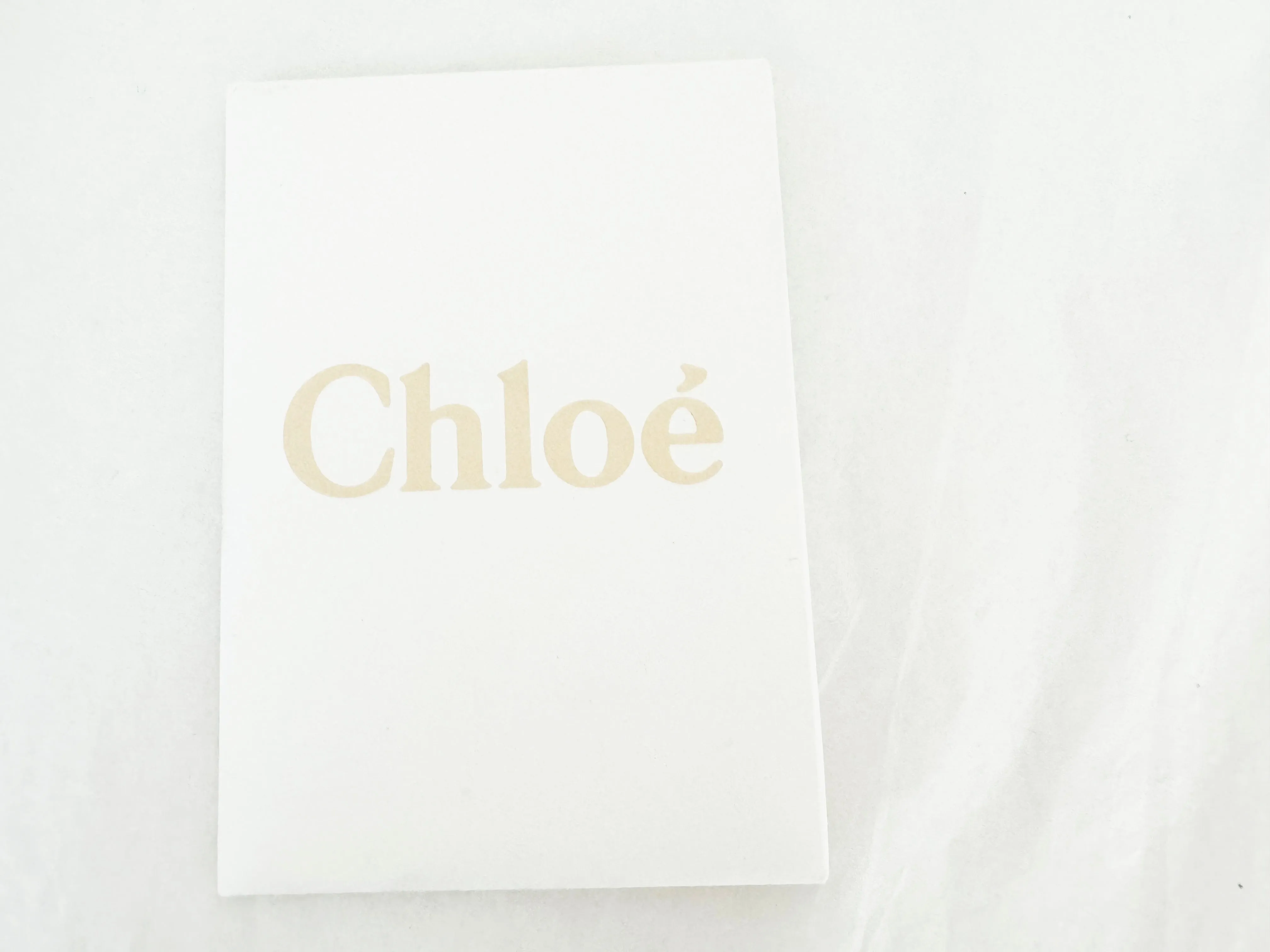 Chloe Nile Floral Handbag