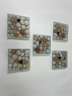 Coaster with sea shells and sharks teeth - C2