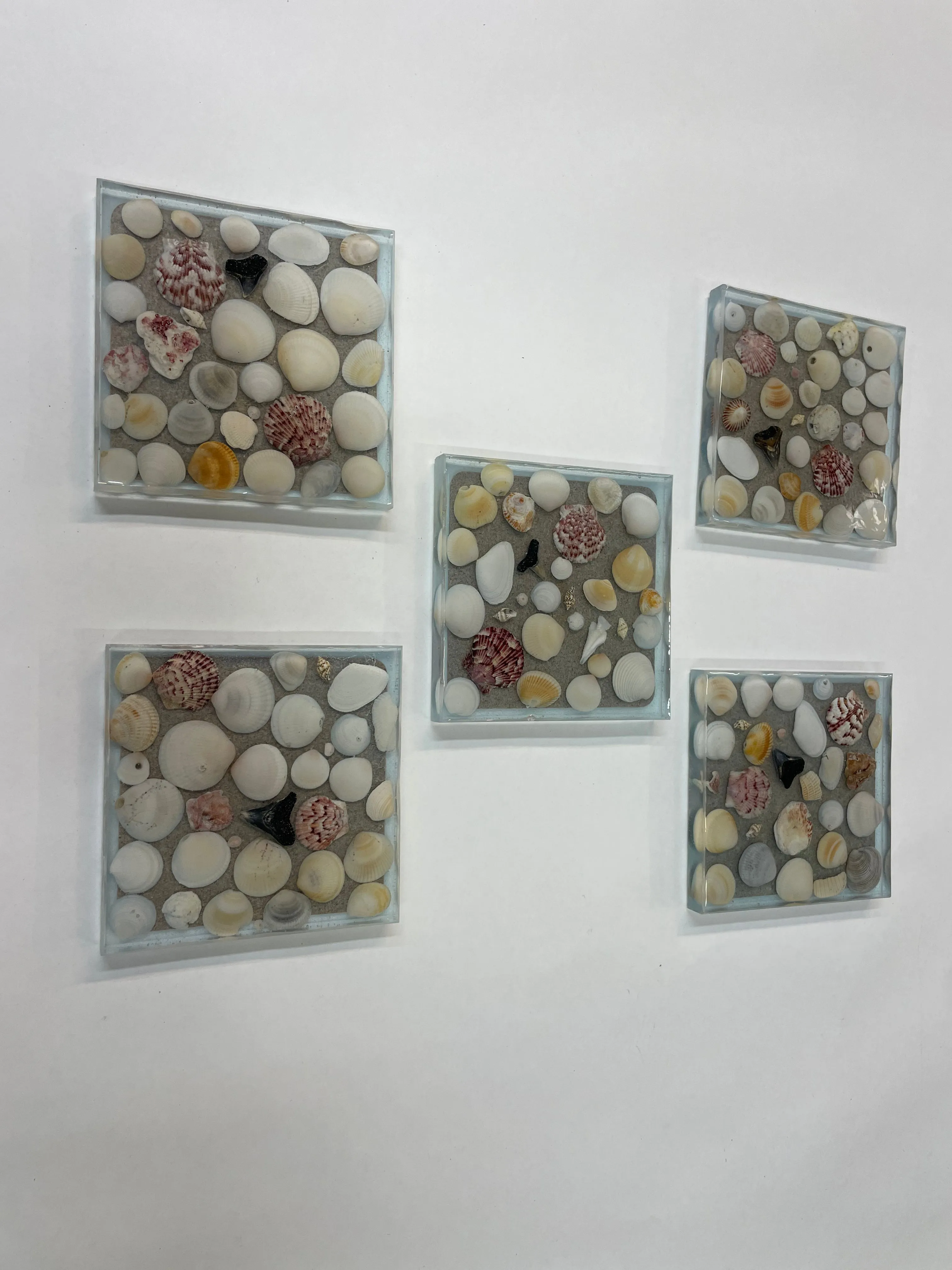 Coaster with sea shells and sharks teeth - C2