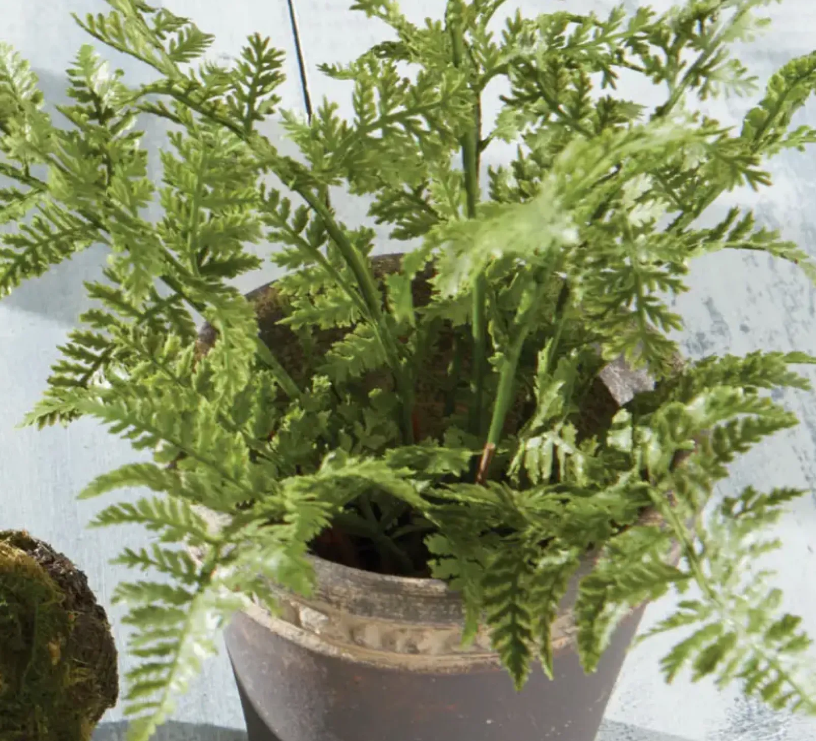 faux soft fern drop in