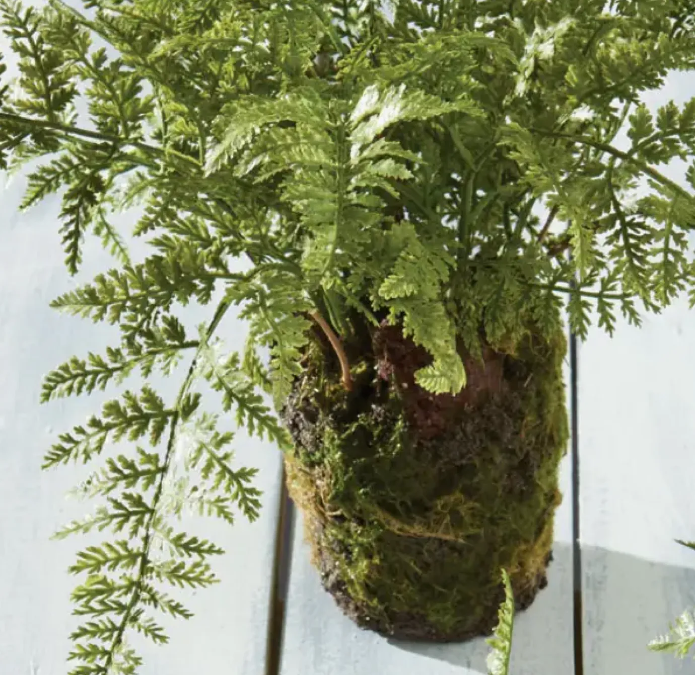 faux soft fern drop in