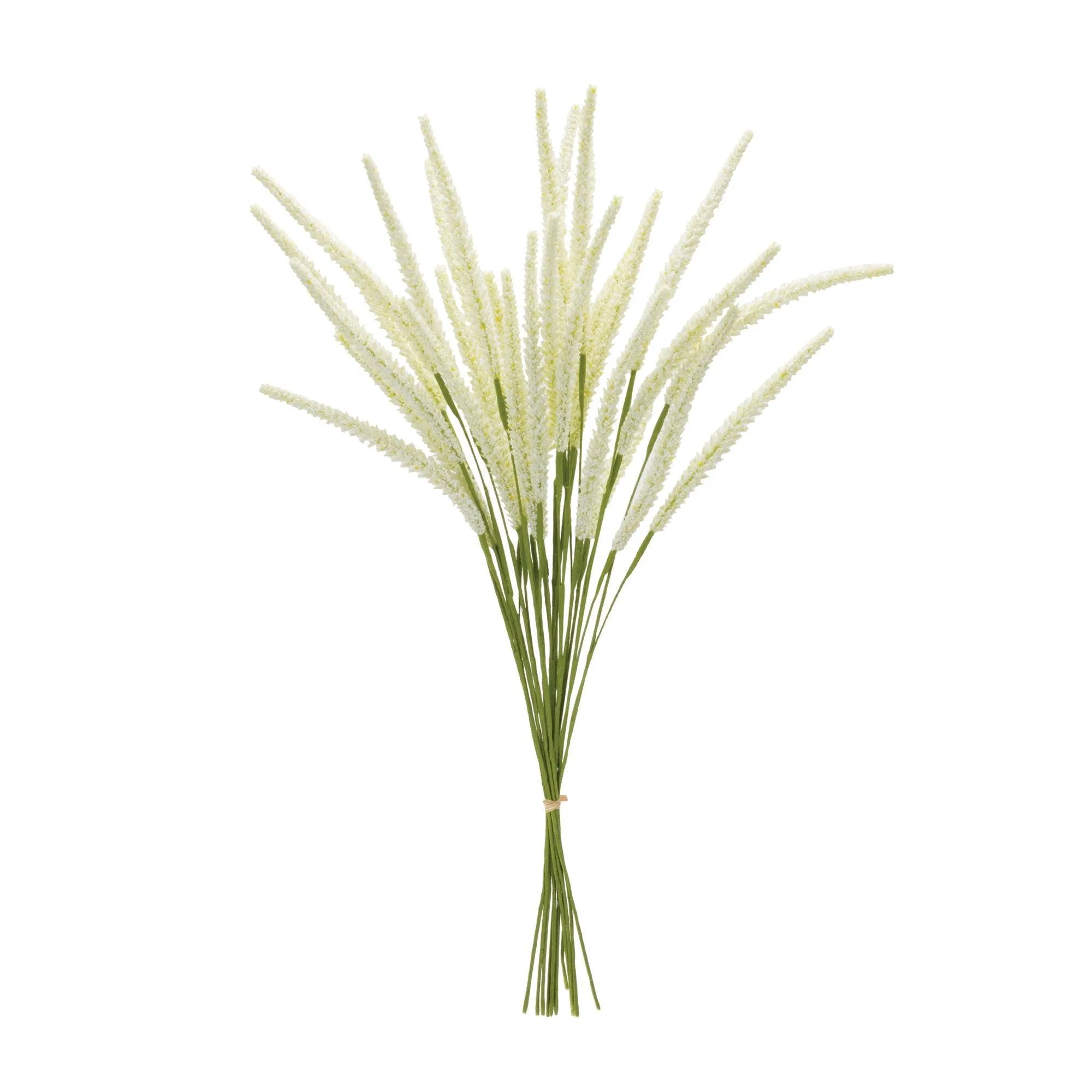 Foxtail Bundle (Set of 6)