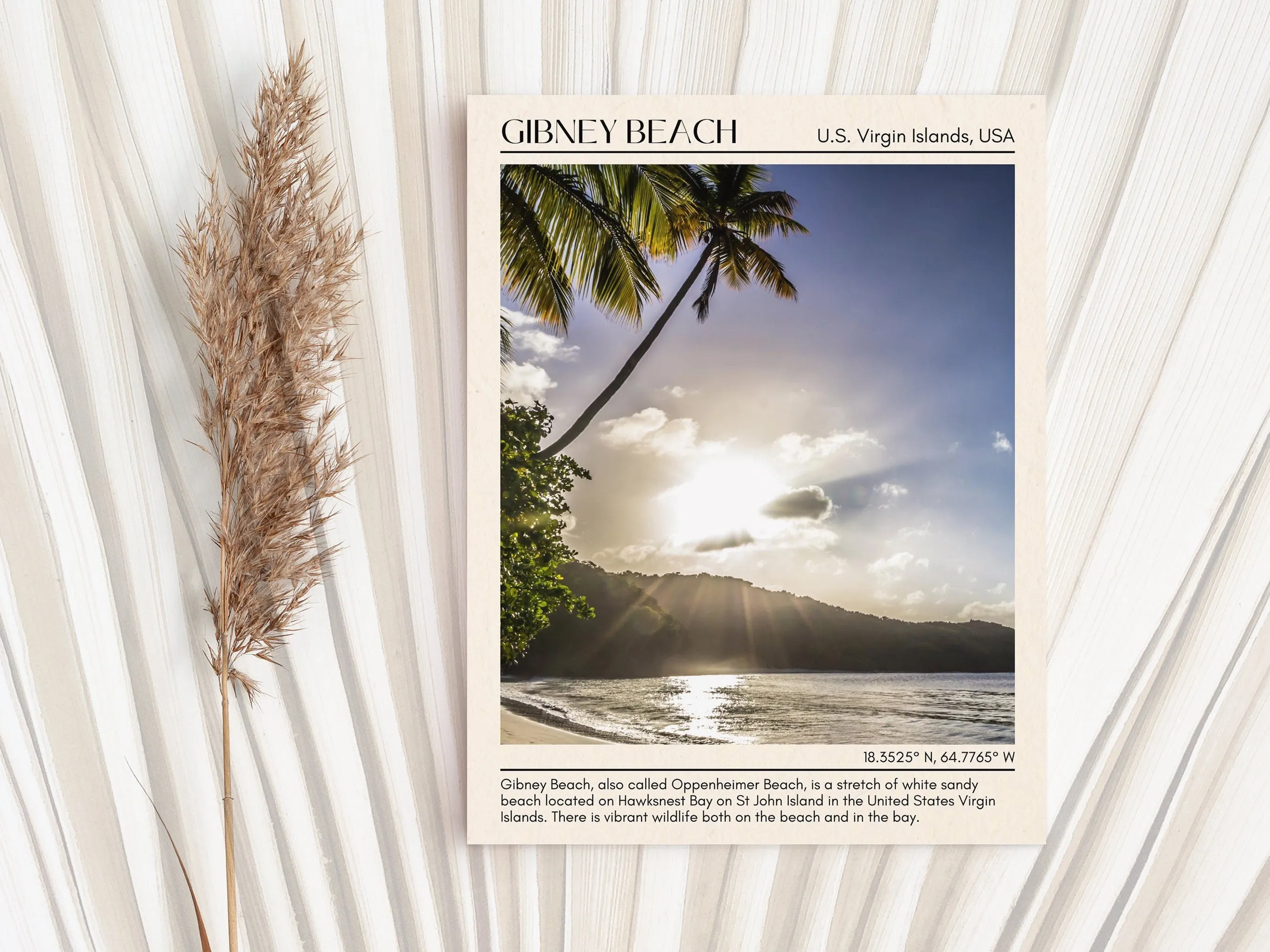 Gibney Beach Wall Canvas, USA