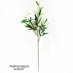 Italian Olive Branch