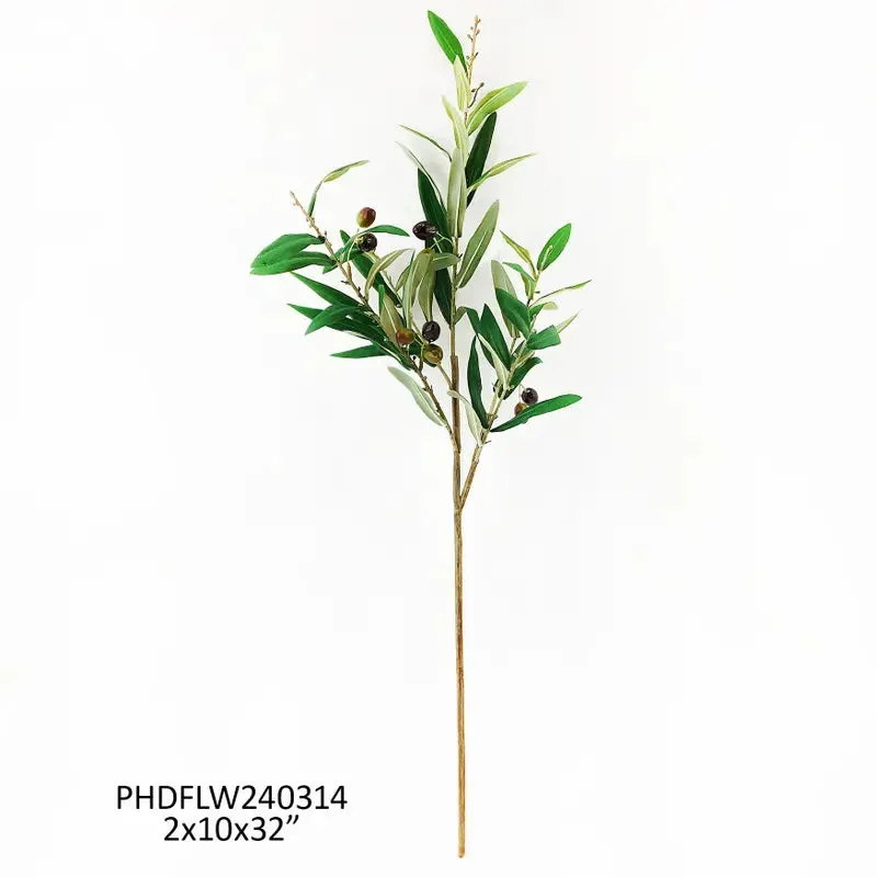 Italian Olive Branch
