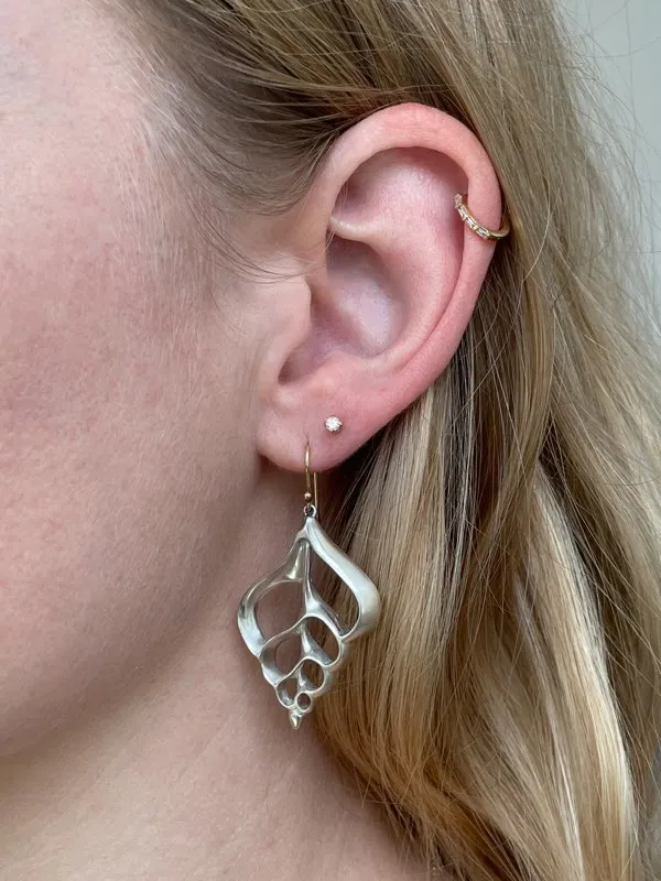 Medium Fancy Shell Earrings