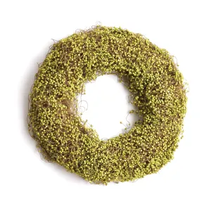 NAPA Home & Garden, GREEN BERRY WREATH 18",TP406