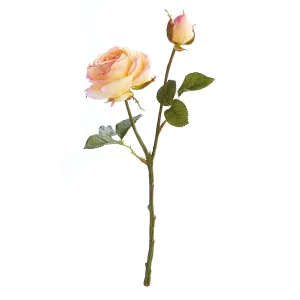 Napa Home Garden, GARDEN ROSE CUTTING 14" CREAM/PINK,gp270cr
