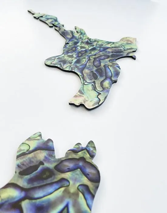 NZ Paua Map Wall Art