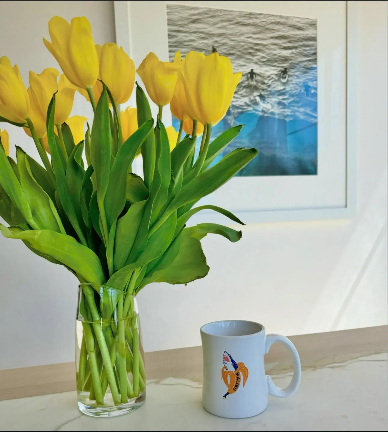 One Gun Ranch Mugs