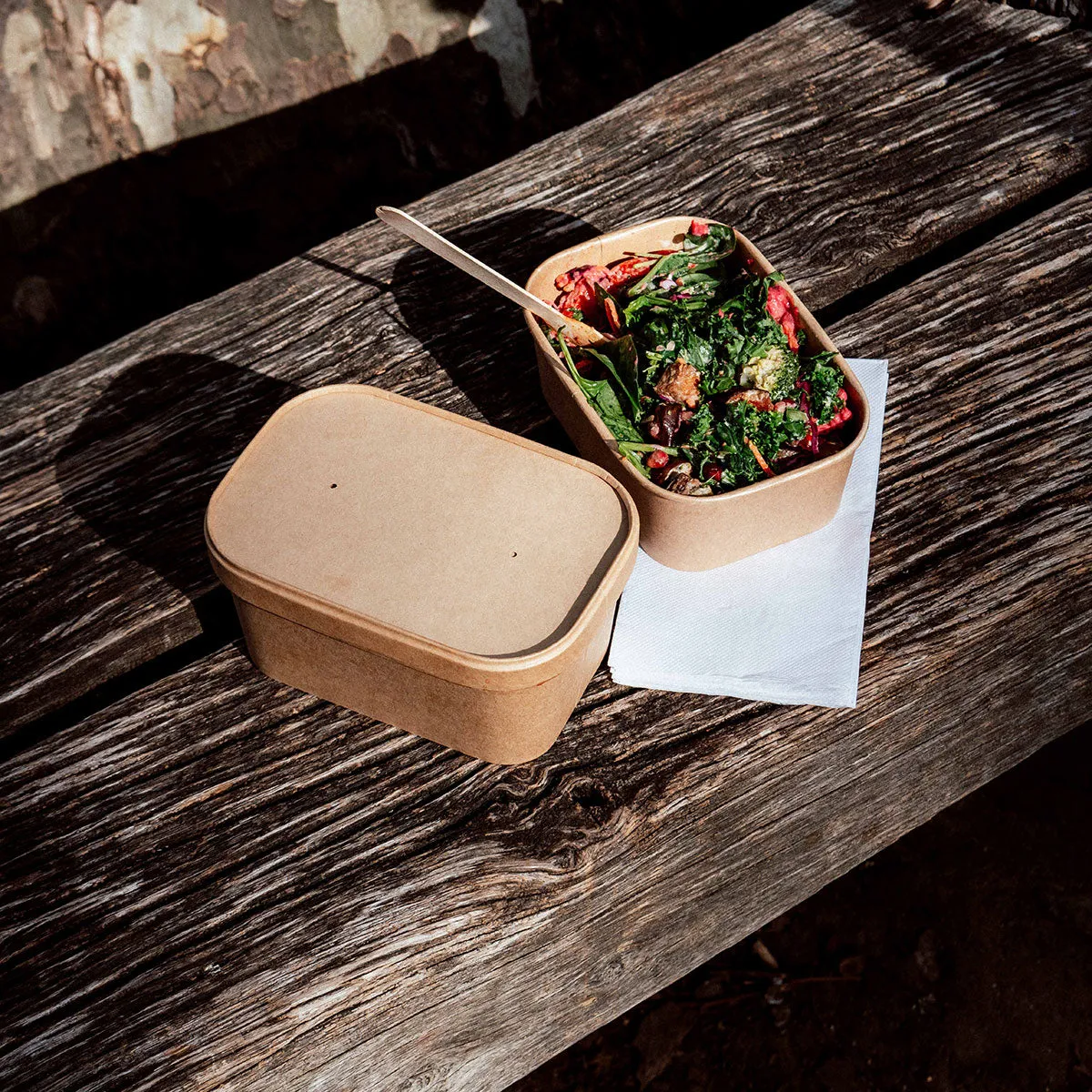 Paper Container Lid