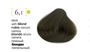 Salerm© Salermvison Professsional 6,1 Dark Ash Blond 2.3oz