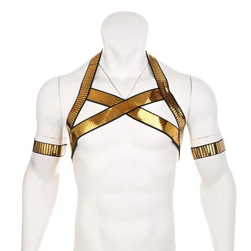 Shiny Gold Harness