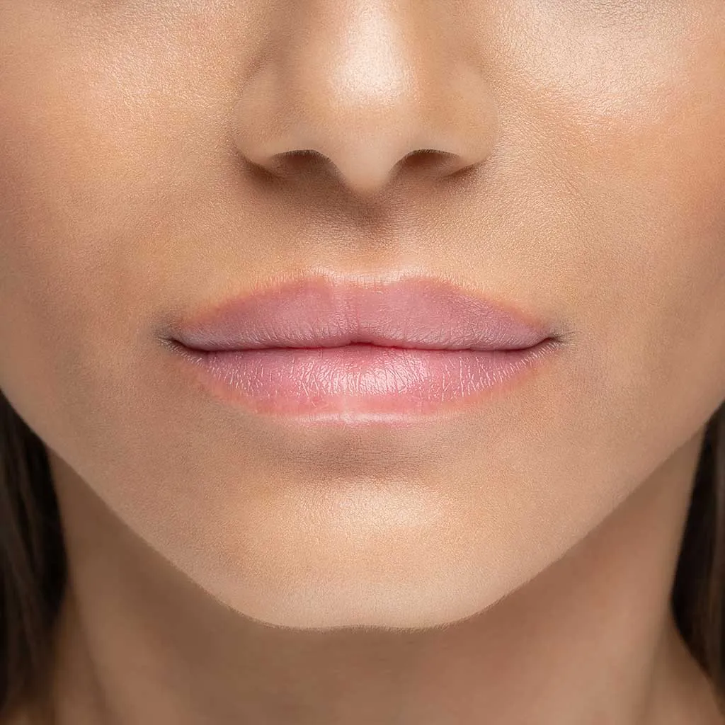 Shiny Lip Crayon   Primer