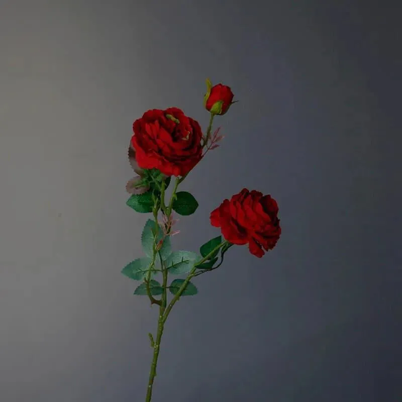 Silk Peony Floral Stem - 2 pcs