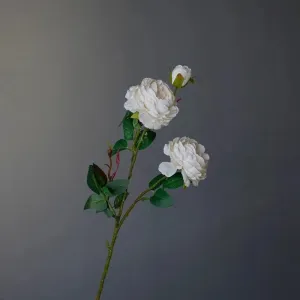 Silk Peony Floral Stem - 2 pcs
