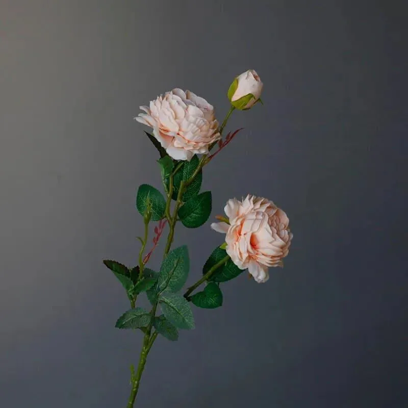 Silk Peony Floral Stem - 2 pcs