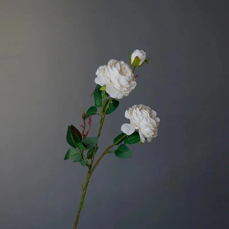 Silk Peony Floral Stem - 2 pcs
