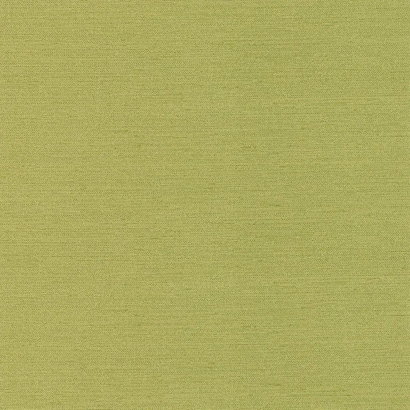 Slinky-Peridot