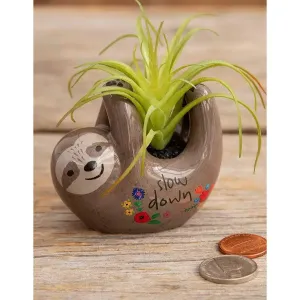 SLOTH FAUX CRITTER SUCCULENT