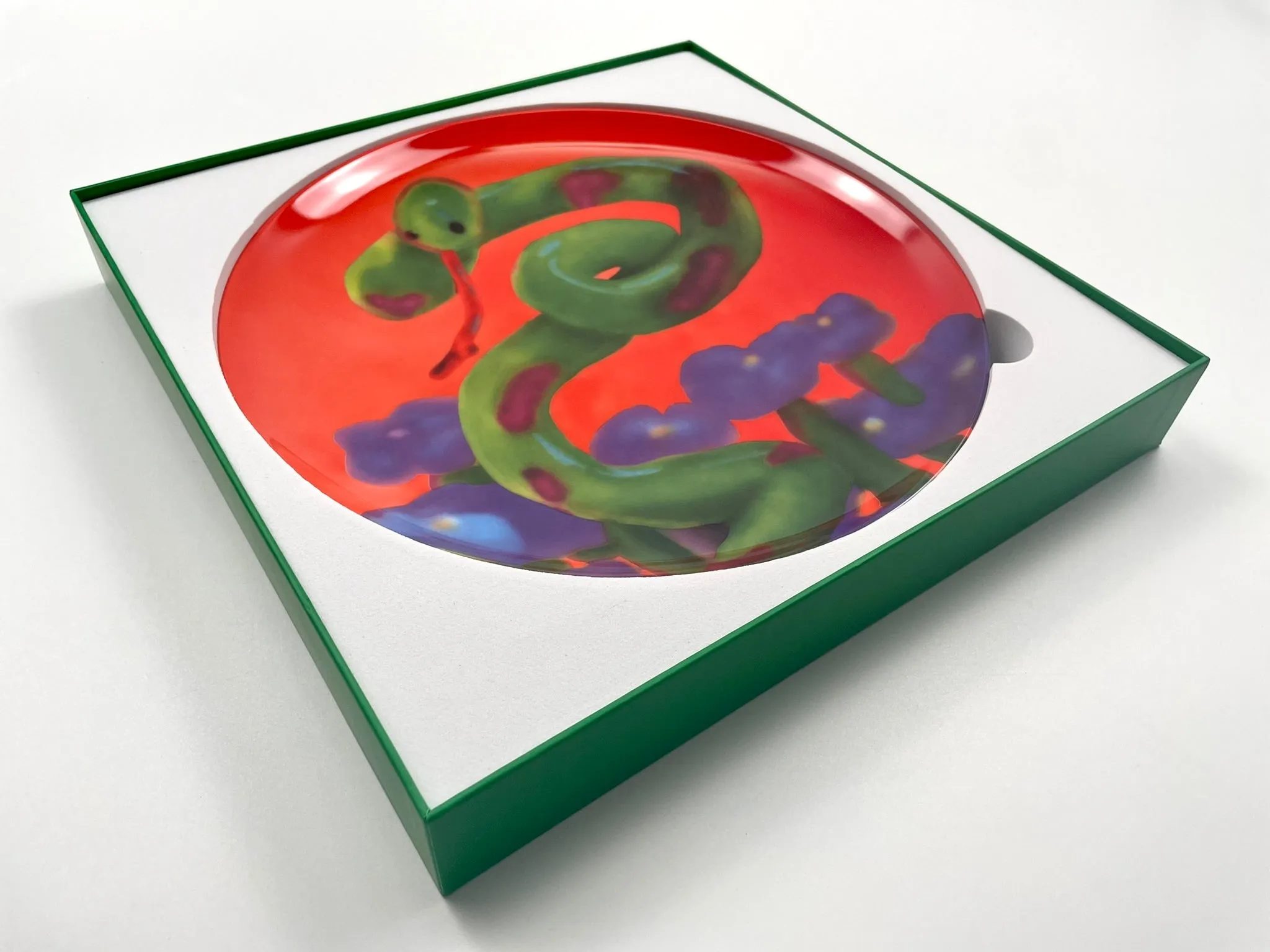 Wet Snake Ceramic Plate