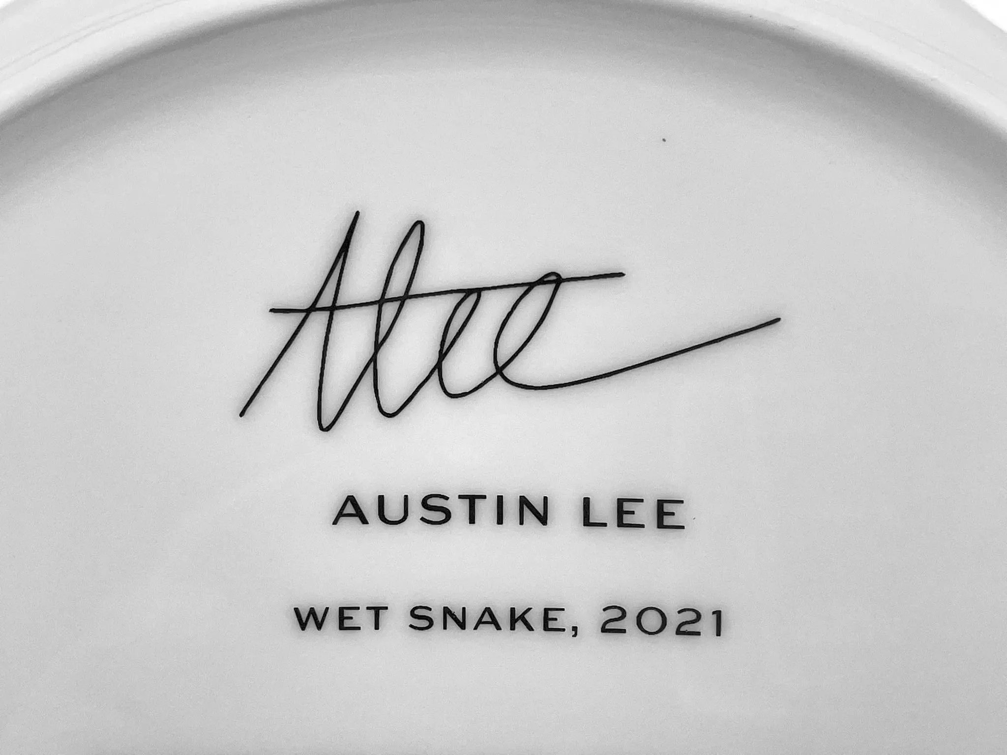 Wet Snake Ceramic Plate