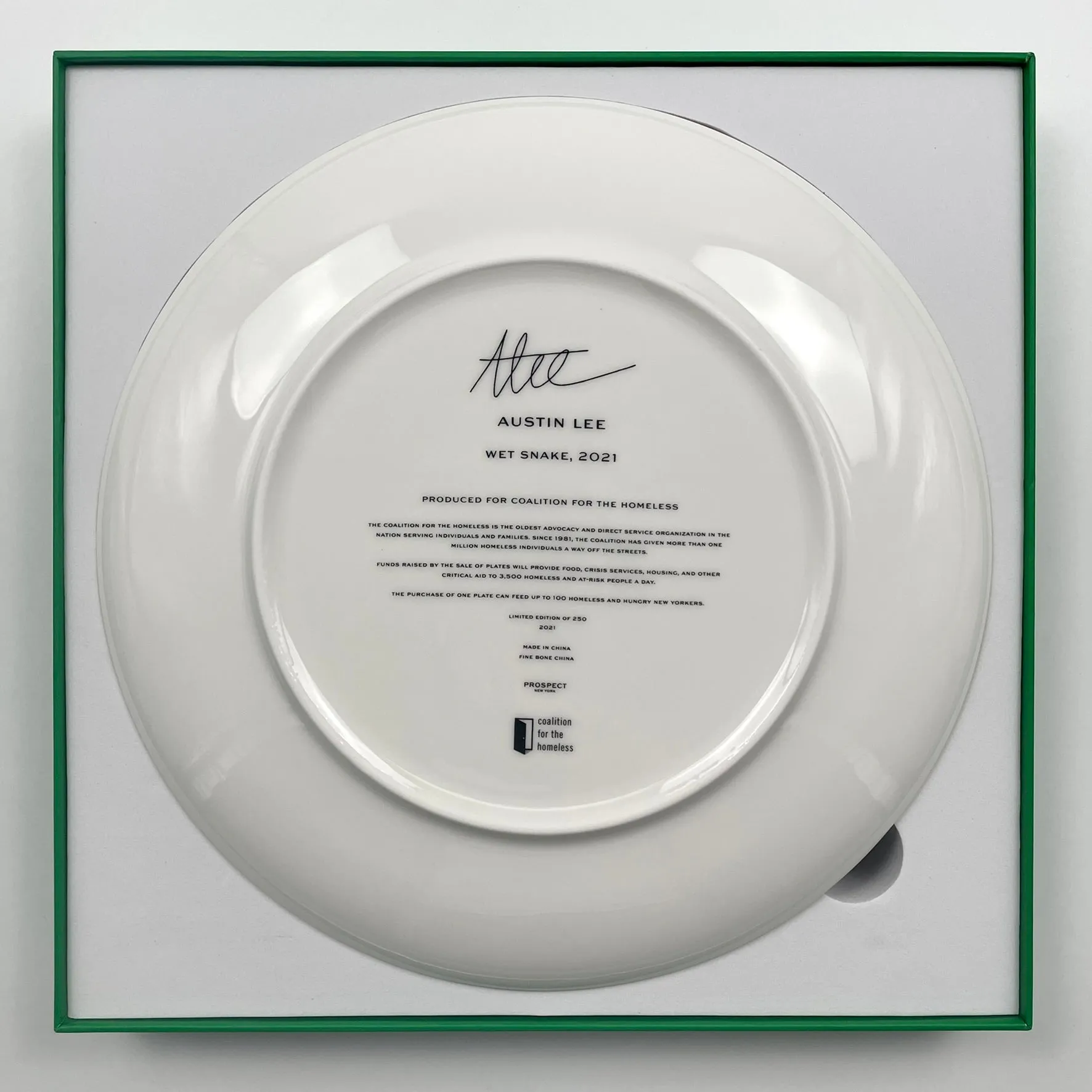 Wet Snake Ceramic Plate