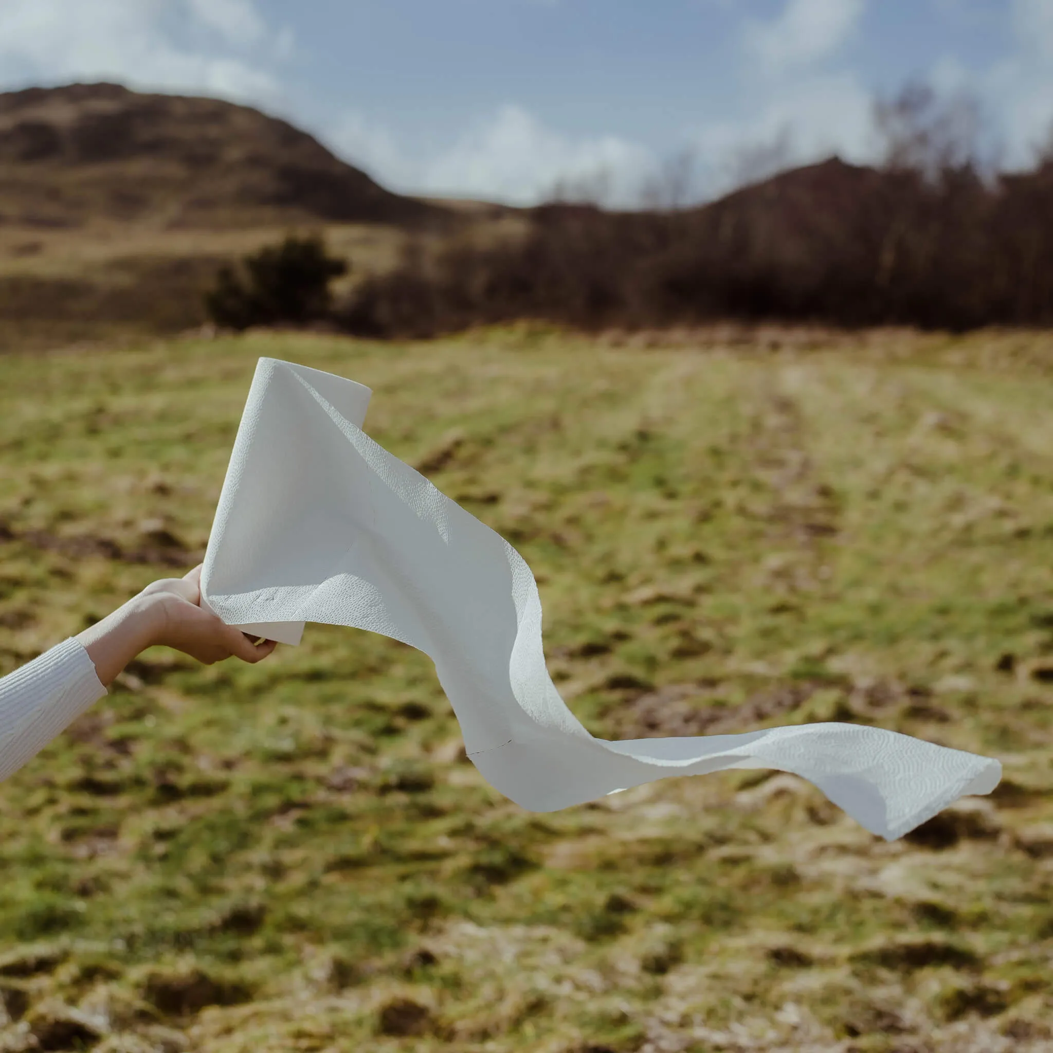 with small - Tree Free Paper Towels
